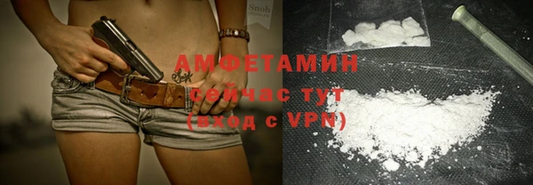 твердый Чекалин